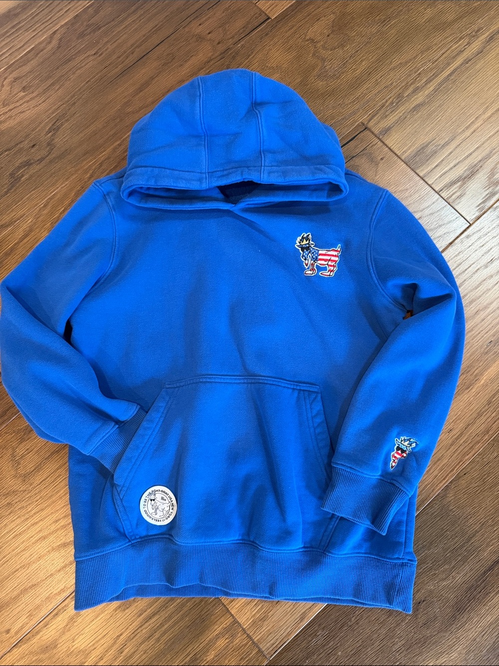 GOAT USA Boys' Royal Blue Hooded Sweatshirt with Patriotic goat Patches
